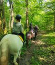 enseignement-balades-en-forêt