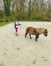 enseignement-cours-equitation-enfants