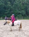 enseignement-cours-poneys-bourges