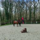 enseignement-travail-à-pied
