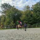 Enseignement-apprentissage-cours-equitation