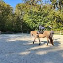Enseignement-sours-equitation-bourges
