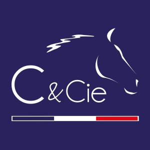 cetcie